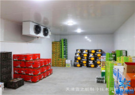 滄州超市冷藏庫